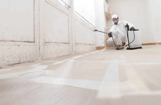 24/7 Emergency Attic Mold Remediation experts in Sykesville, MD